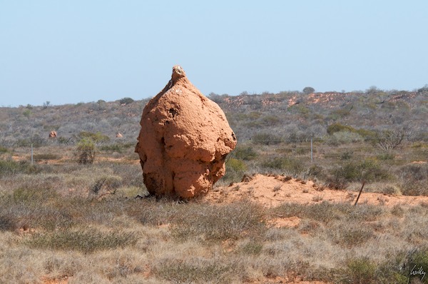 AustraliaPerth 10  111